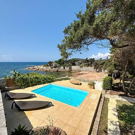 Les Pieds Dans L'eau - Piscine & Jardin - Sejour Pietrosella